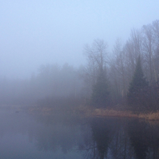 Shore_in_Fog.jpg